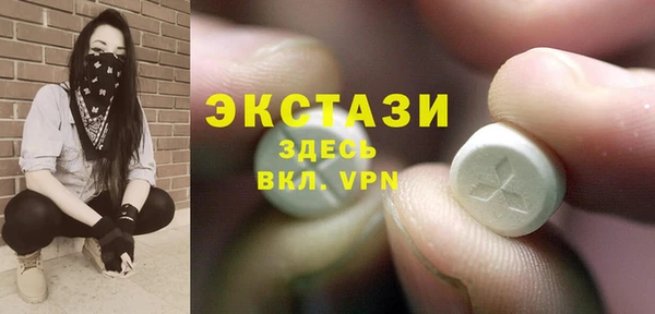 гидра Абаза