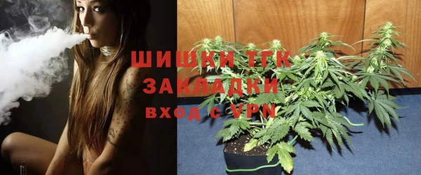 гидра Абаза
