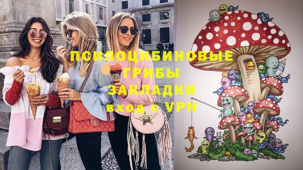 гидра Абаза