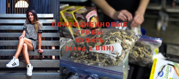 сатива Абдулино