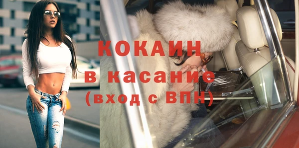 гидра Абаза