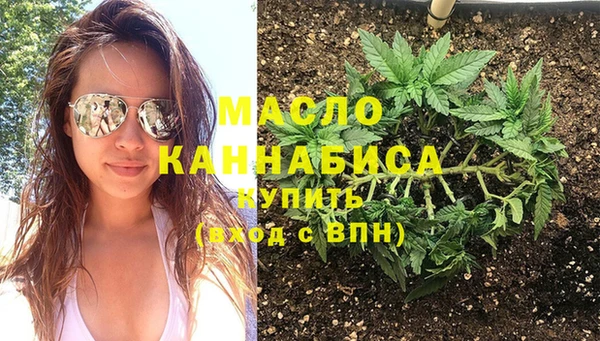 гидра Абаза